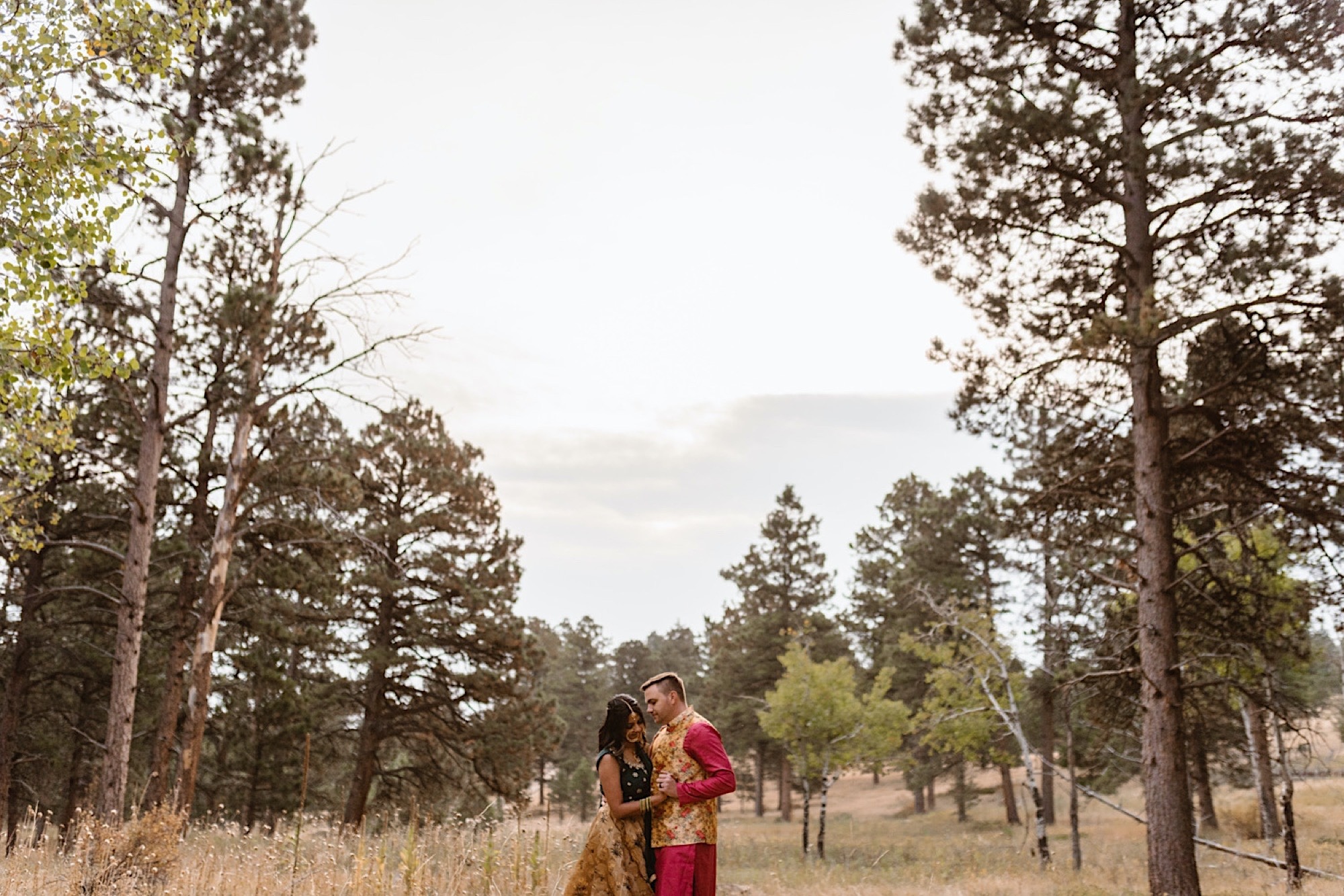 An Indian wedding couple stands in a field of evergreen trees near Denver, Colorado as they walk together for their Indian elopement photos. Photo by Denver elopement photographer, Colorado elopement photographer, Ashley Joyce Photography.