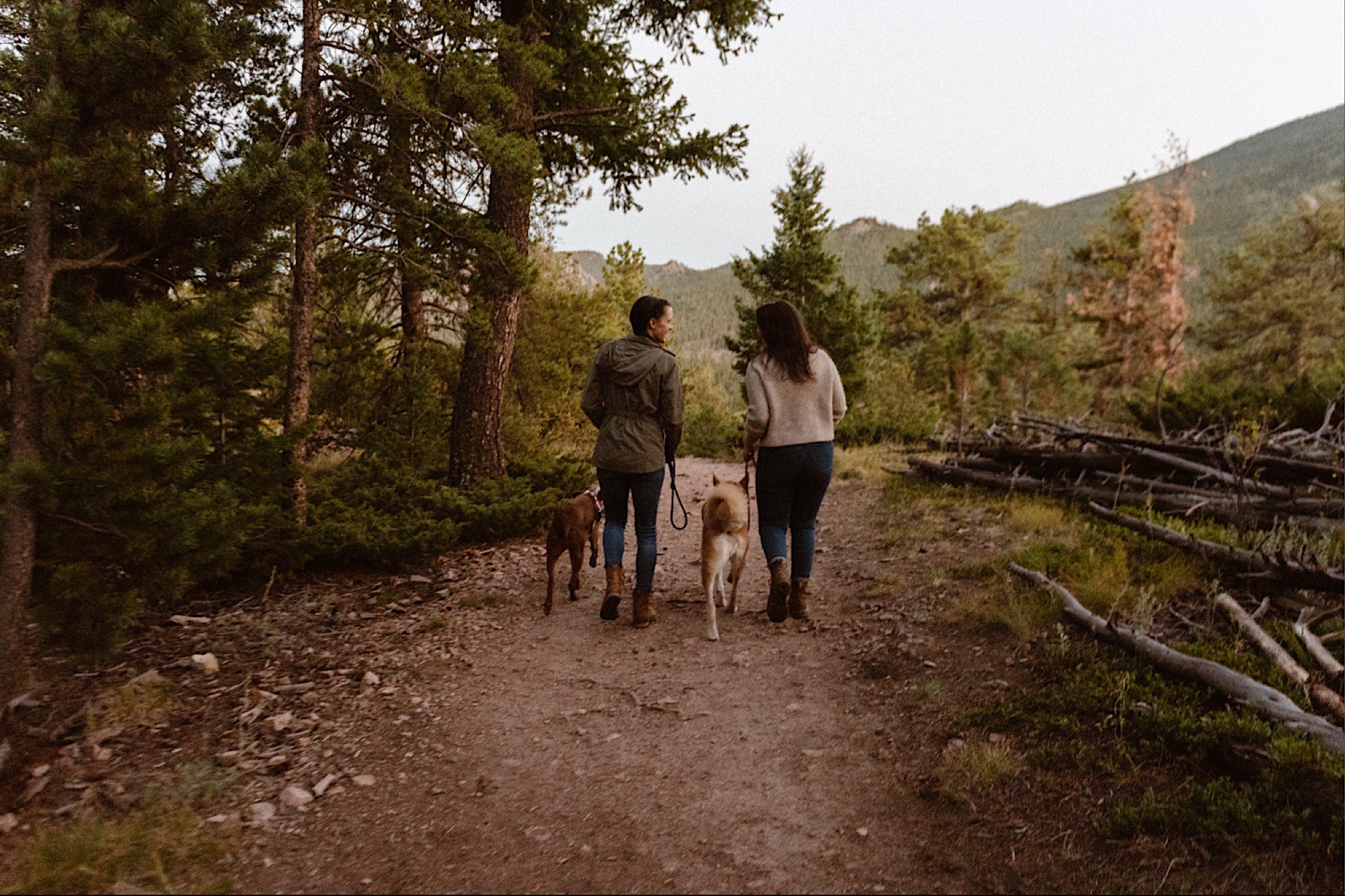 A lesbian engagement couple walks on the forest trail at Golden Gate Canyon State Park for their Colorado engagement photos. Photo by Colorado elopement photographer, Denver elopement photographer, Ashley Joyce Photography.