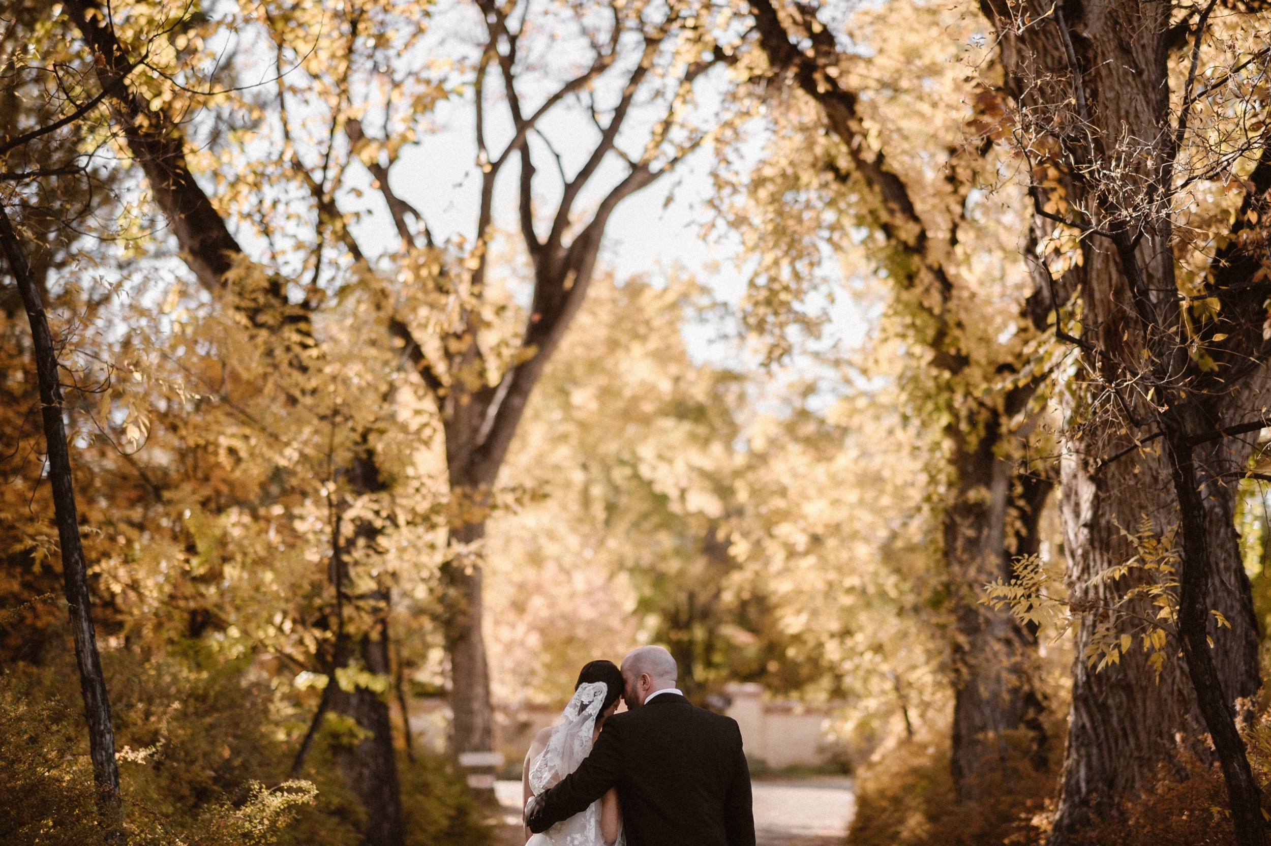 A New Mexico wedding couple poses for their Albuquerque fall wedding at Los Poblanos Historic Inn. Los Poblanos Wedding. Photo by New Mexico wedding photographer, Ashley Joyce Photography, copyright 2022.