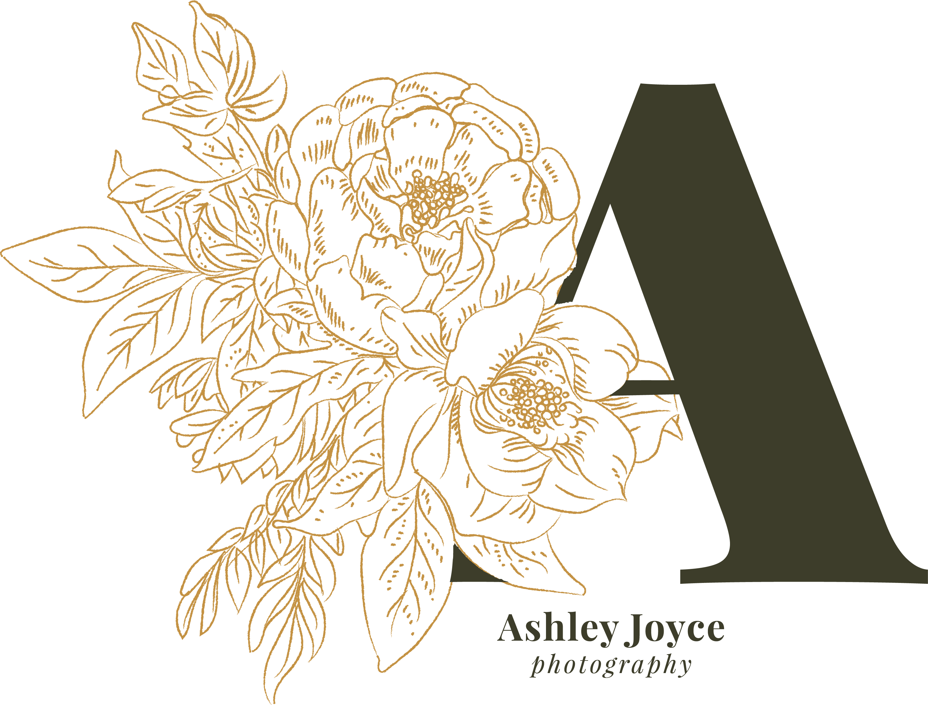 Grand Canyon Elopement Grand Canyon National Park Elopement