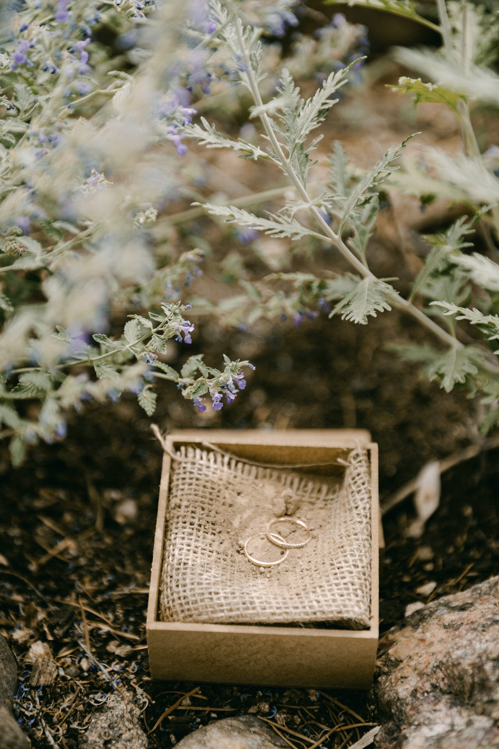 Photos of a Santa Fe elopement that took place at Inn of the Turquoise Bear in the heart of Santa Fe, New Mexico. Photo by Colorado wedding photographer, Ashley Joyce.