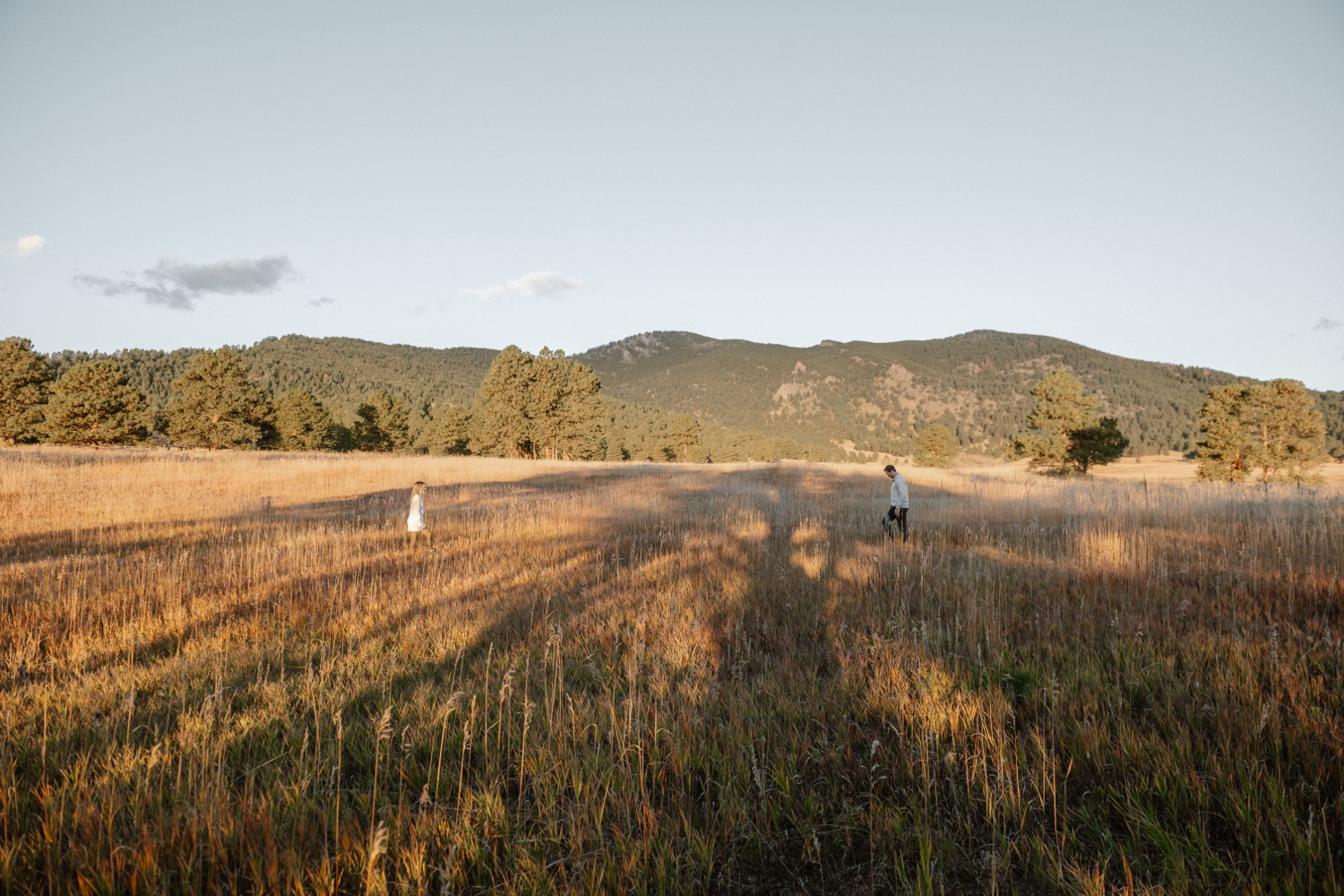 A photo of an engaged couple walking through Elk Meadow Park in Evergreen, Colorado for their Colorado engagement photos, taken by Colorado wedding photographer Ashley Joyce Photography.