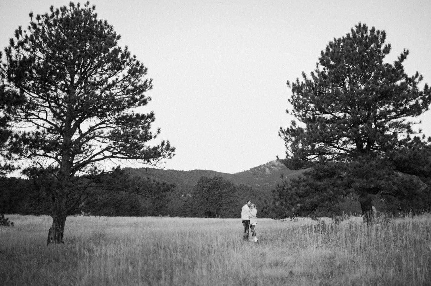 A black and white photos of an engaged couple embracing each other in Elk Meadow Park in Evergreen, Colorado for their Colorado engagement photos, taken by Colorado wedding photographer Ashley Joyce Photography.