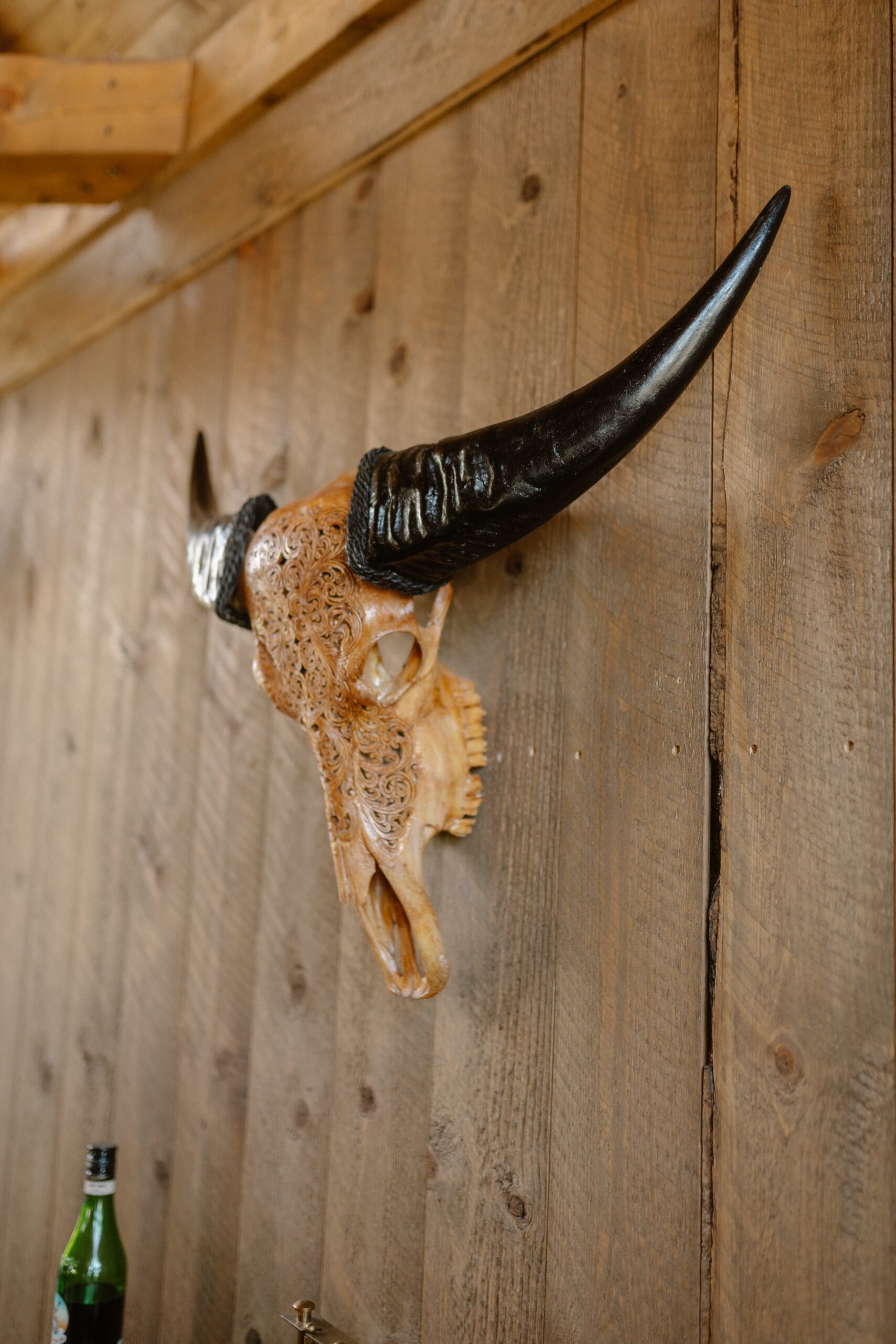 A photo of a decorative cow skull hanging on the wall at Three Peaks ranch. Photo by Ashley Joyce.
