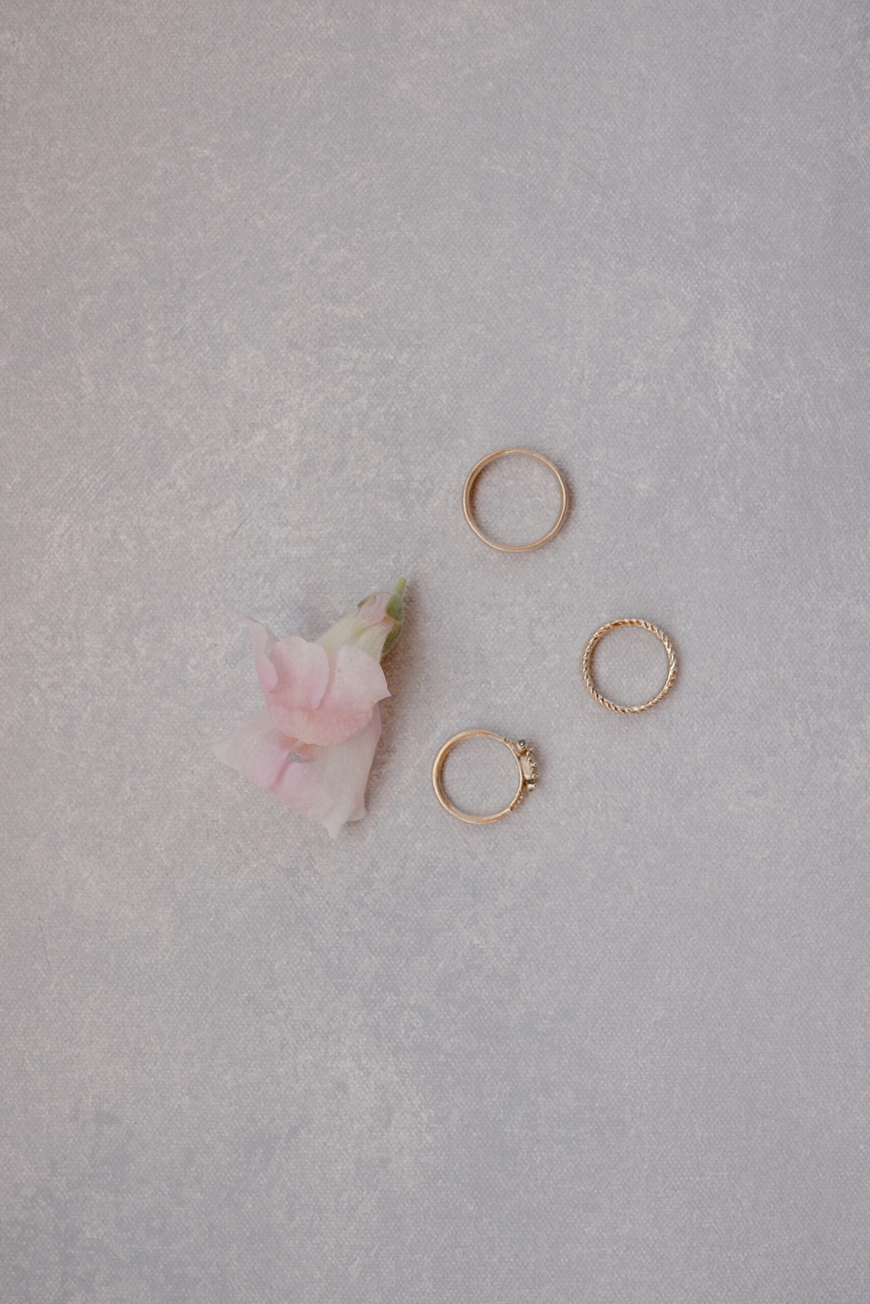 A color photo of a bride's wedding rings laid on a solid background with a single flower. Photo by Ashley Joyce.