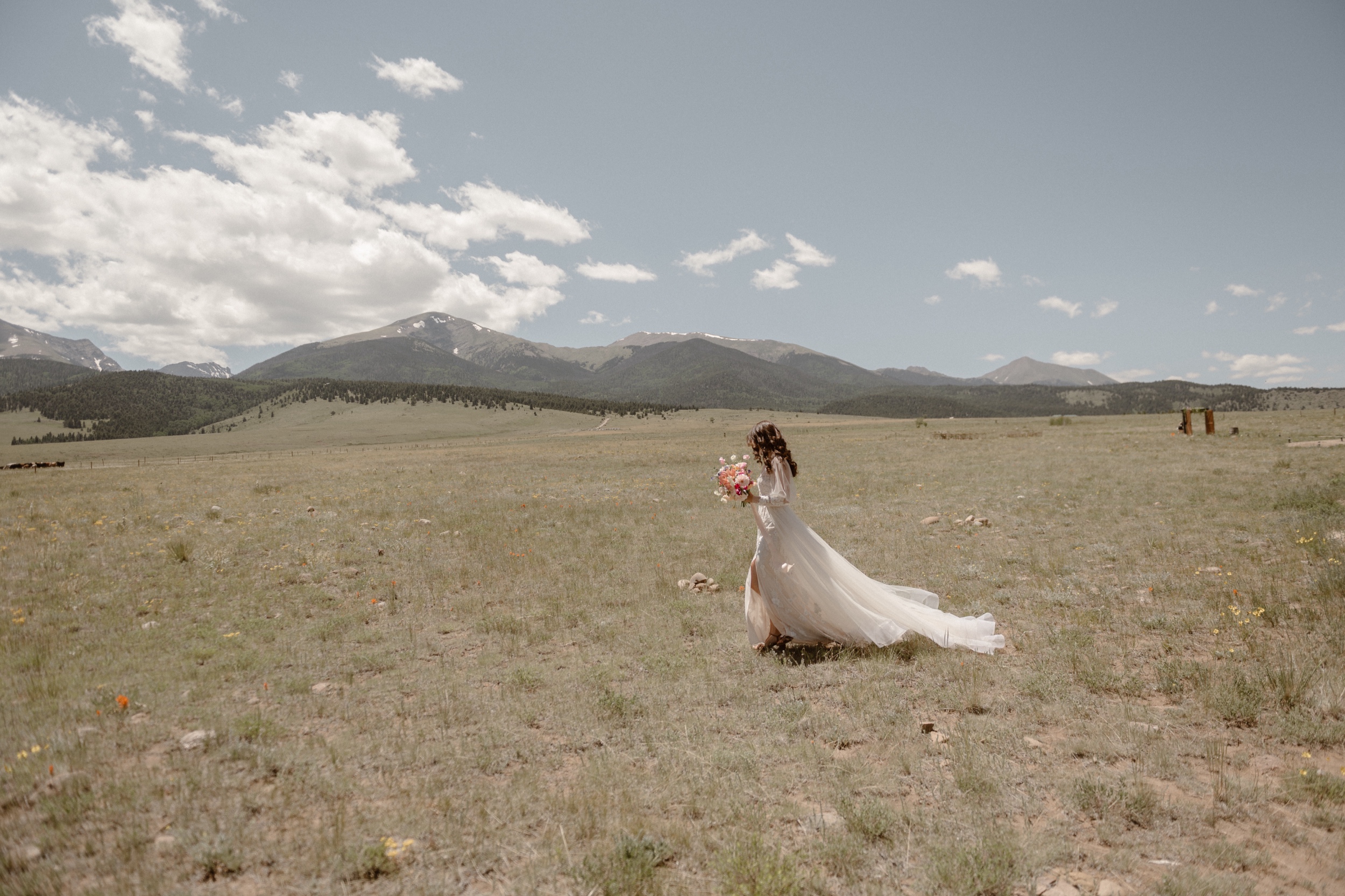 A bride walks through a grassy field with mountains in the background. Photo by Colorado wedding photographer Ashley Joyce.
