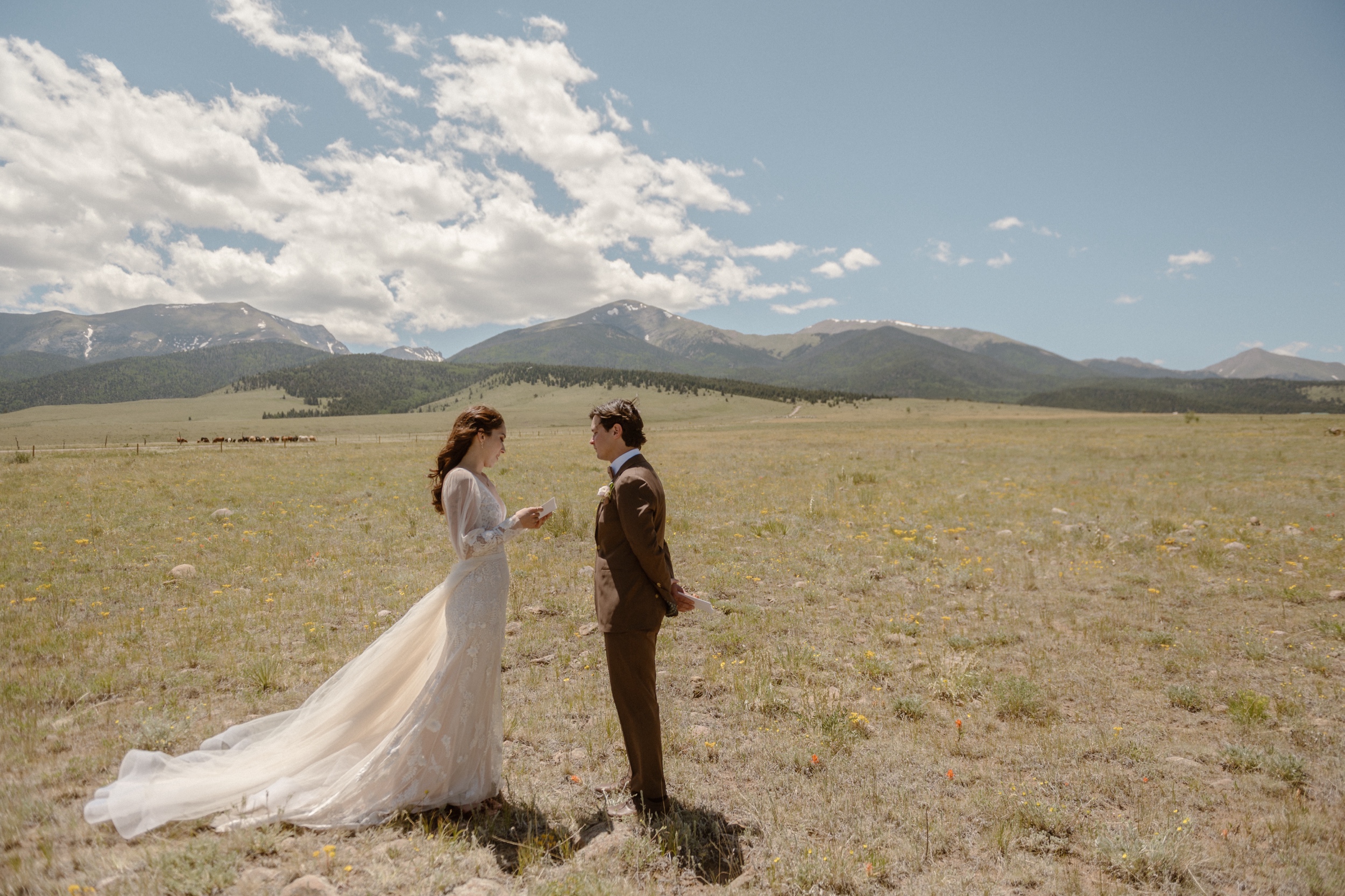 A bride and groom stand in a grassy field as they face each other while they say their private vows to one another before their Three Peaks Ranch wedding in Westcliffe, Colorado. Photo by Colorado wedding photographer Ashley Joyce.