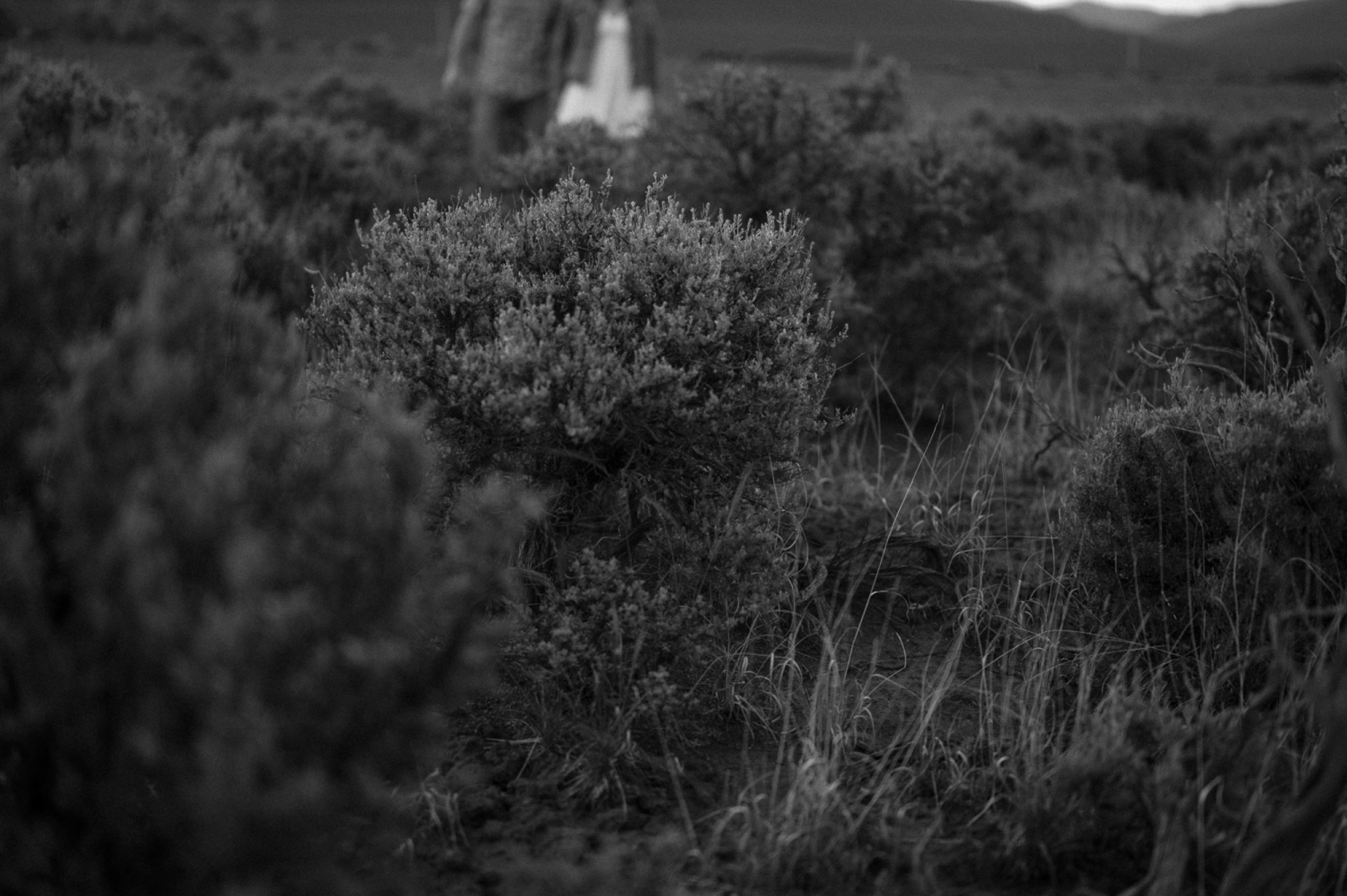 Engagement photos taken in downtown Taos, New Mexico. Photos by Telluride wedding photographer Ashley Joyce Photography.