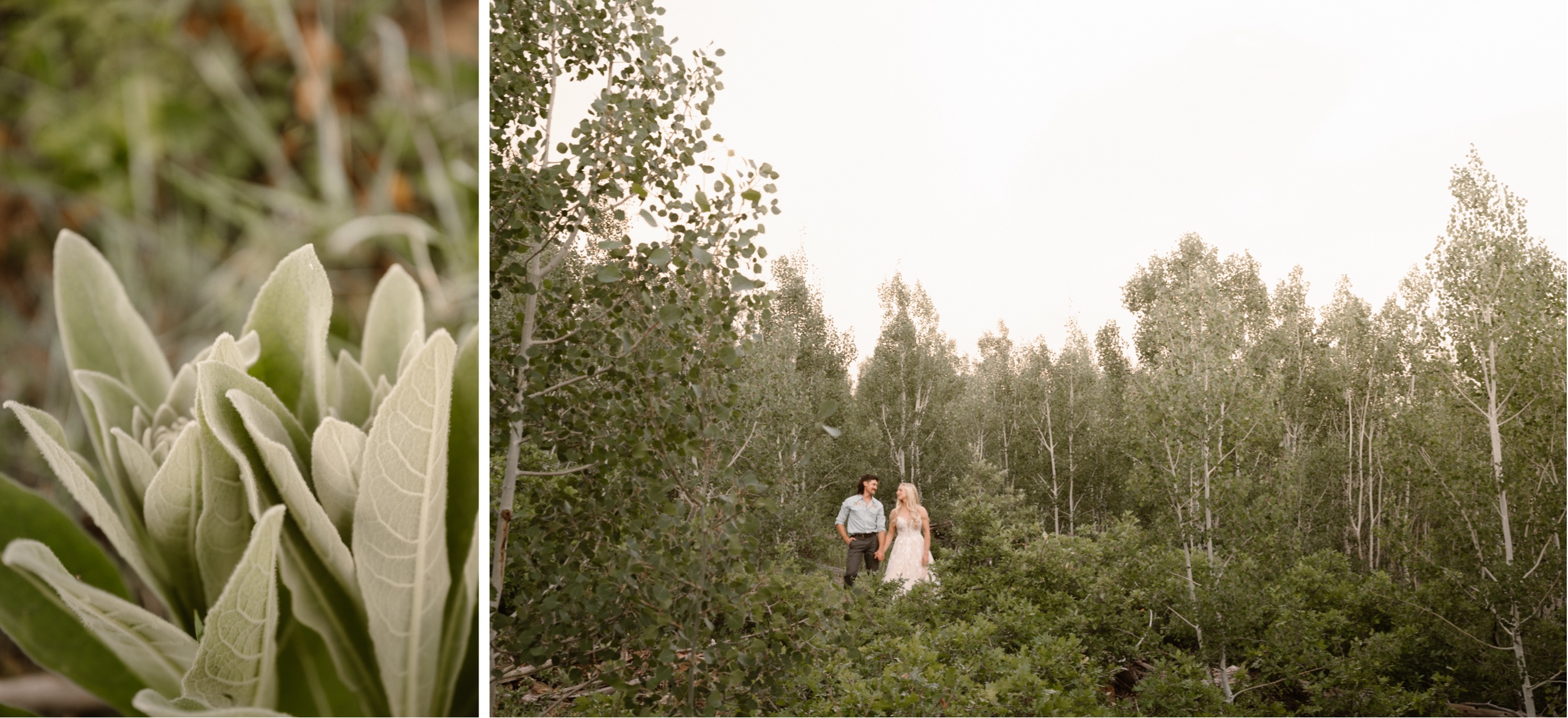 A couple hosts an intimate Durango wedding, photographed by Durango wedding photographer, Ashley Joyce Photography.