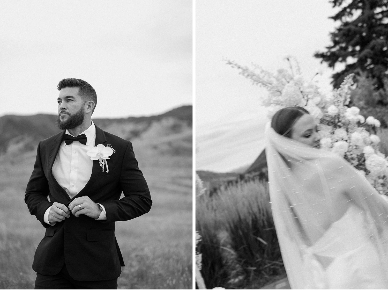 A diptych of two photos of a bride and groom posing for their portraits