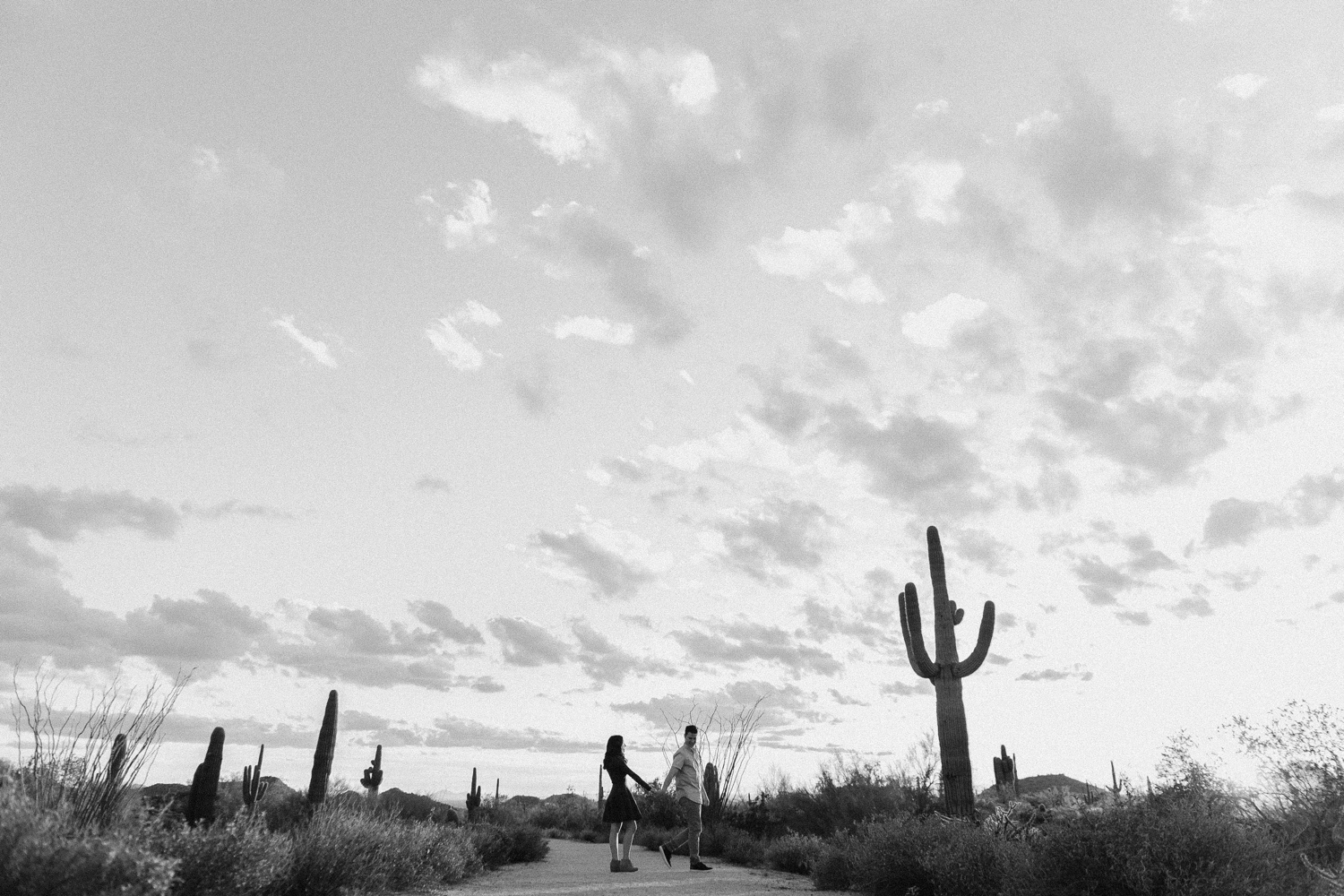 Phoenix engagement session, Arizona engagement session, desert engagement session. Photo by Durango and Telluride wedding photographer Ashley Joyce