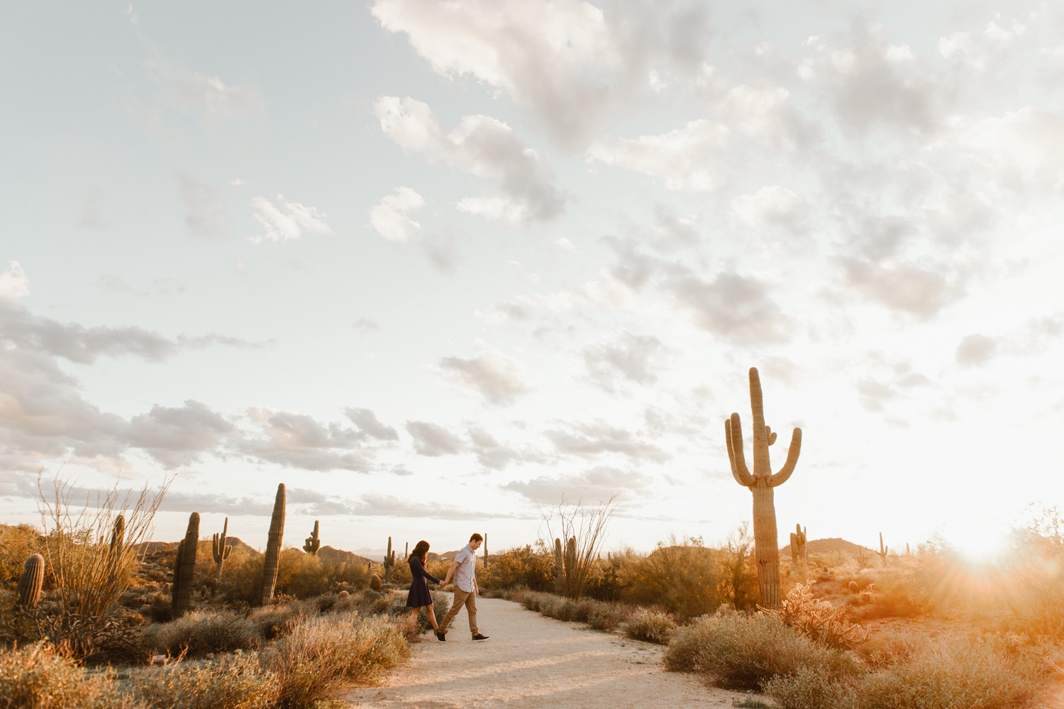 Phoenix engagement session, Arizona engagement session, desert engagement session. Photo by Durango and Telluride wedding photographer Ashley Joyce