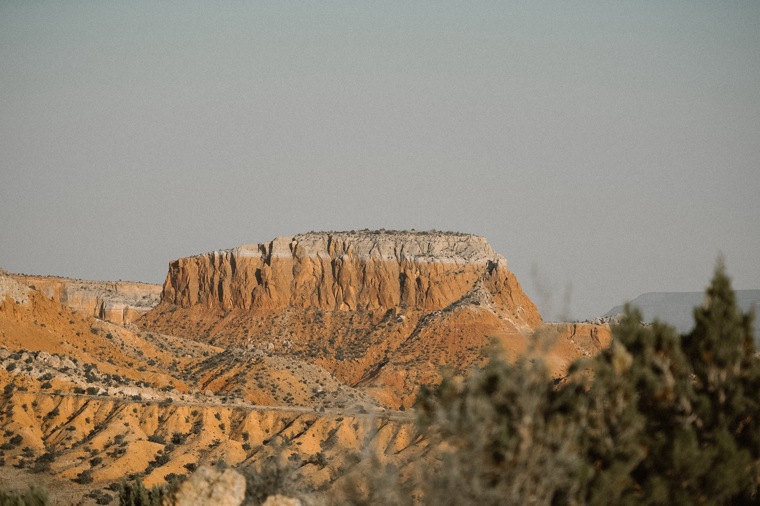 An intimate Ghost Ranch wedding on a beautiful summer day in Abiquiu, New Mexico. Photographed by Durango and Telluride wedding photographer Ashley Joyce.