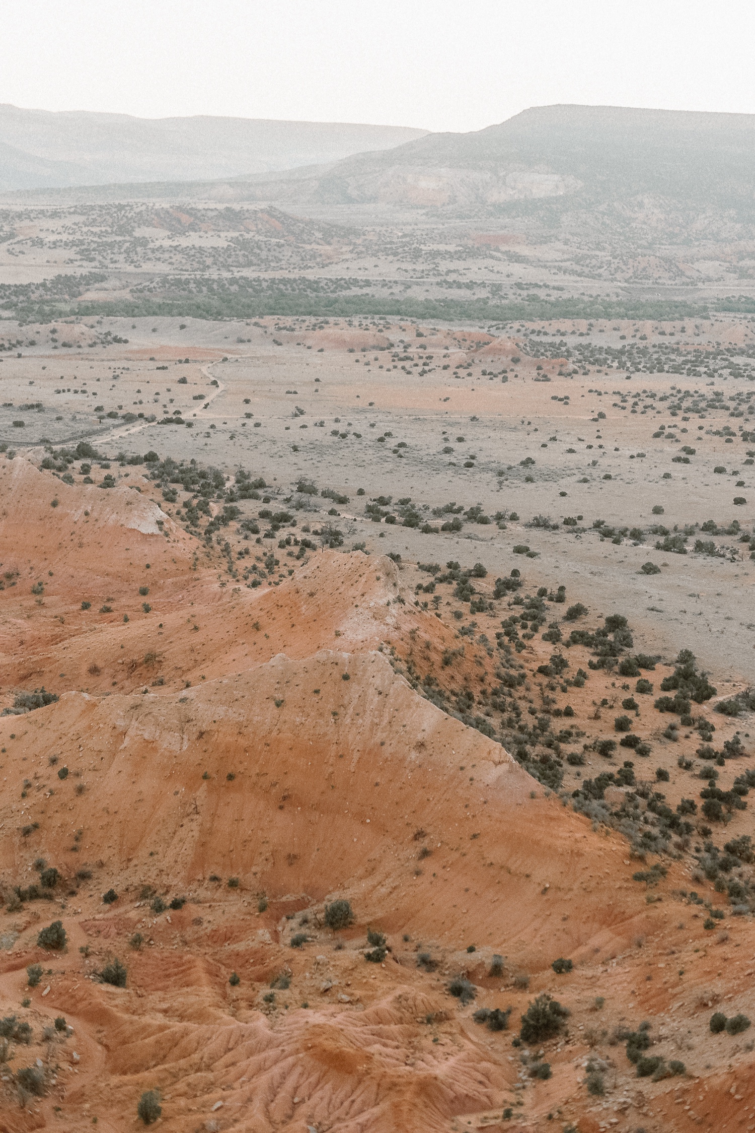 An intimate Ghost Ranch wedding on a beautiful summer day in Abiquiu, New Mexico. Photographed by Durango and Telluride wedding photographer Ashley Joyce.