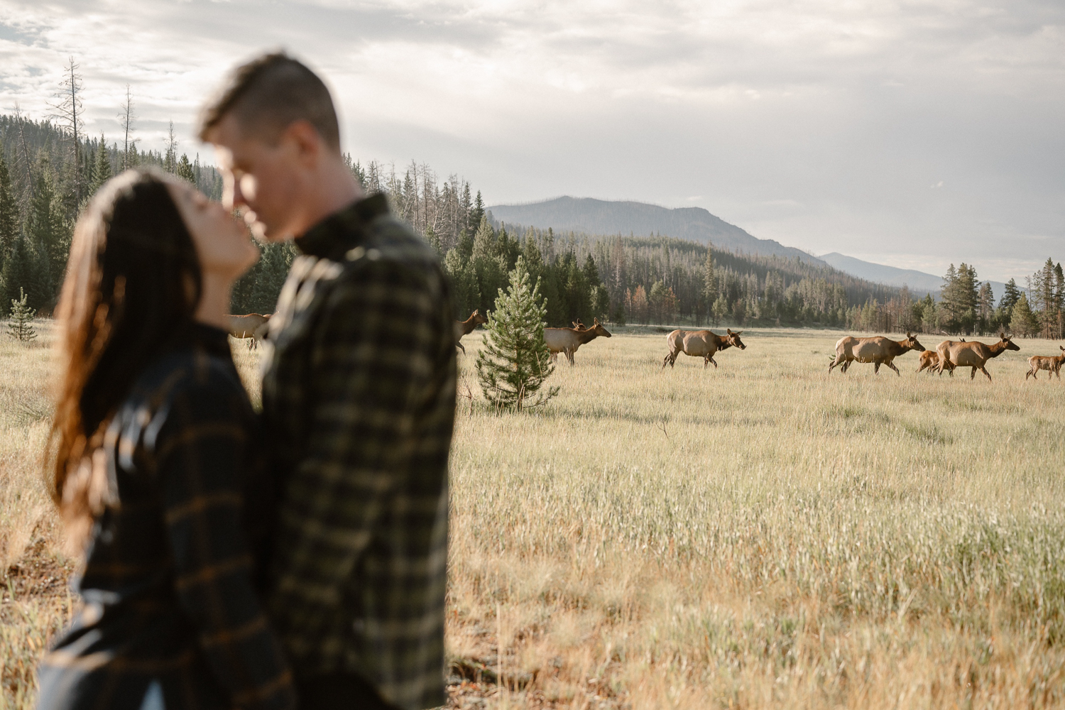 A fall engagement session at Rocky Mountain National Park by Durango and Telluride wedding photographer Ashley Joyce