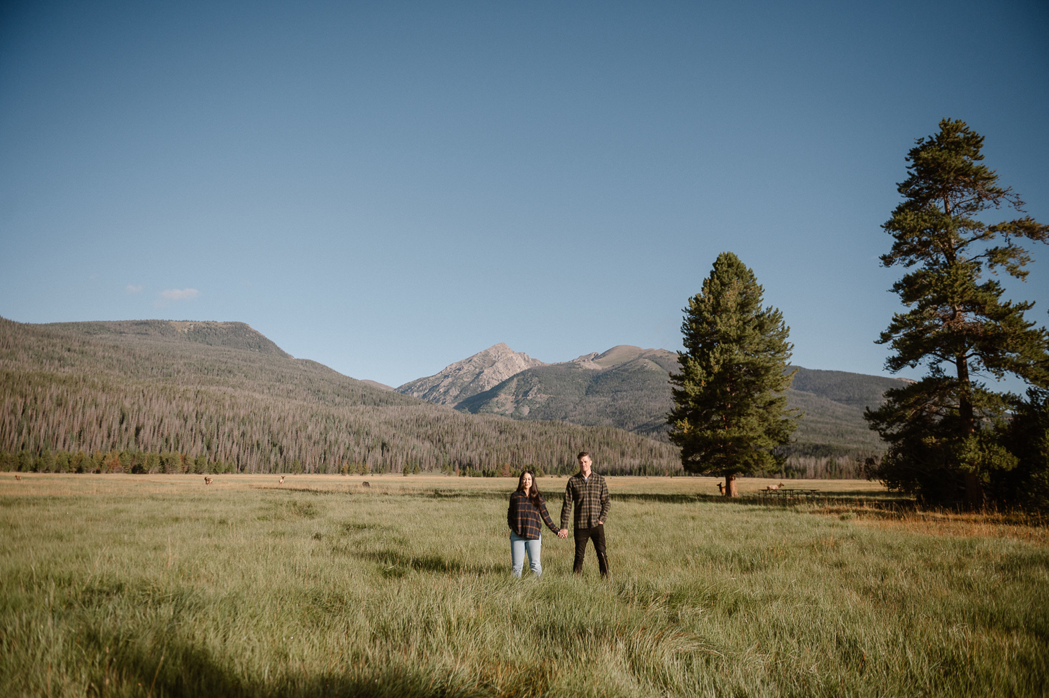 A fall engagement session at Rocky Mountain National Park by Durango and Telluride wedding photographer Ashley Joyce