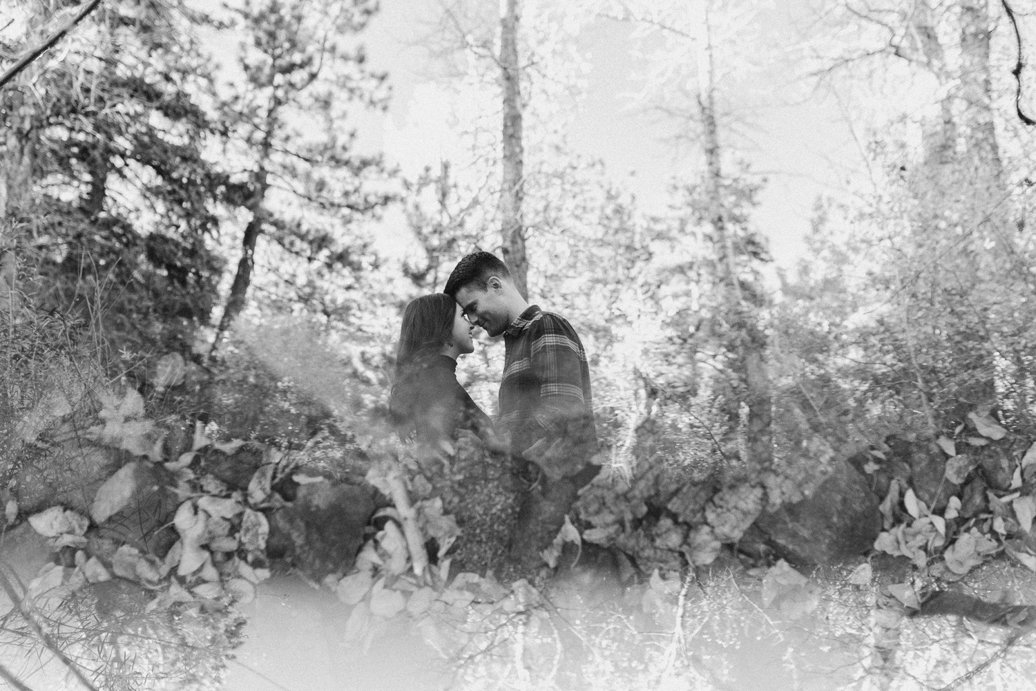 Golden Colorado engagement photos taken at Golden Gate Canyon State Park by Durango and Telluride wedding photographer Ashley Joyce.