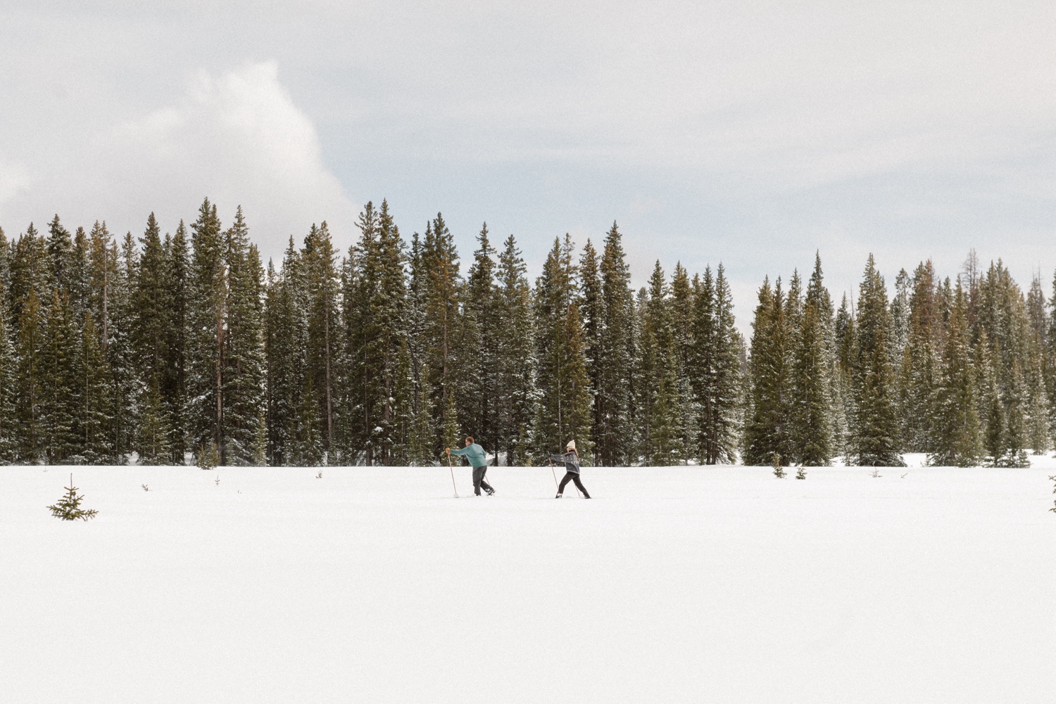 Couple cross-country skiing in snowy forest, wearing winter engagement outfits, during their winter engagement session near Montrose, Colorado.