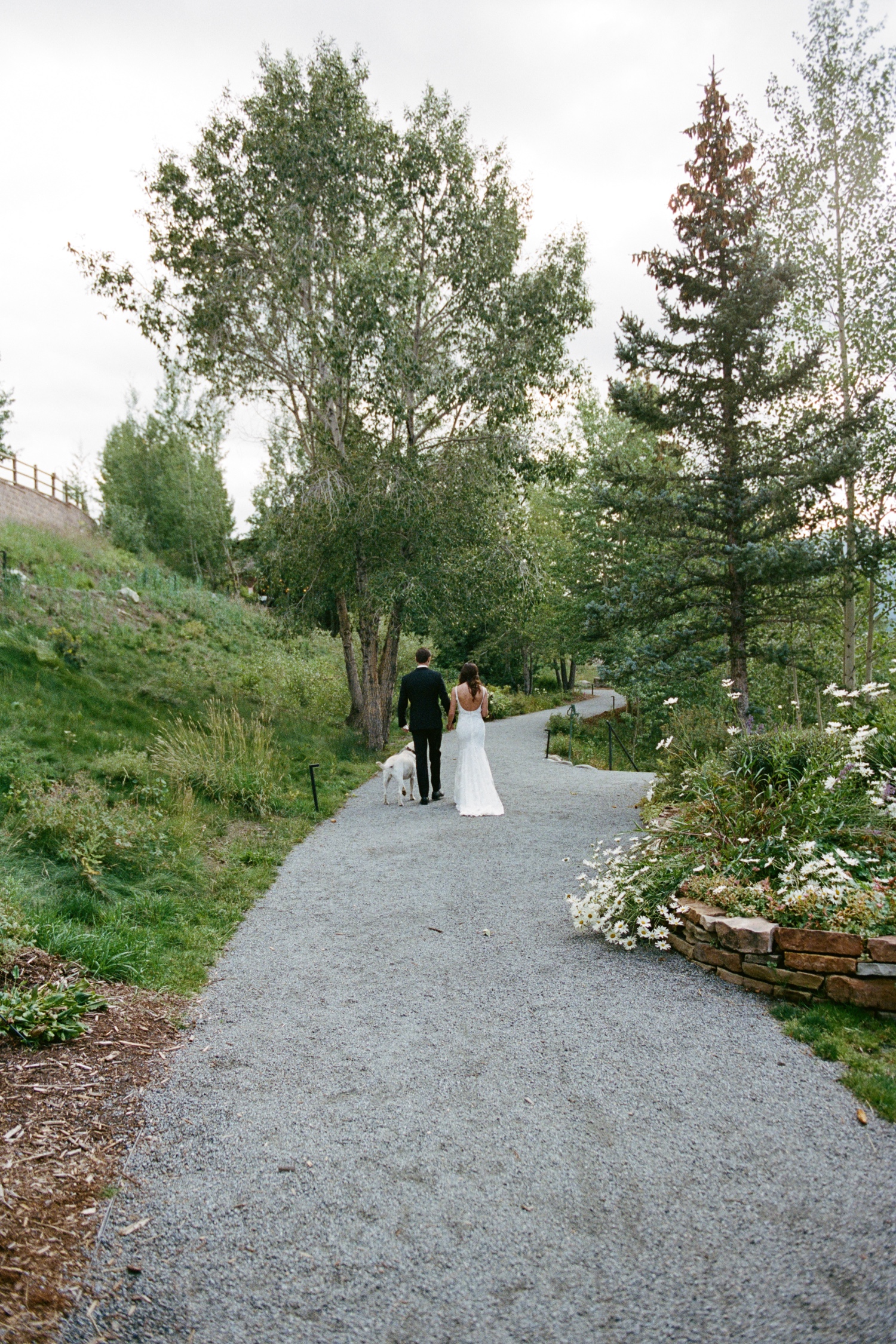 Colorado 35mm film wedding photography taken in Crested Butte by Durango and Telluride wedding photographer, Ashley Joyce. Photos from an intimate wedding in Crested Butte