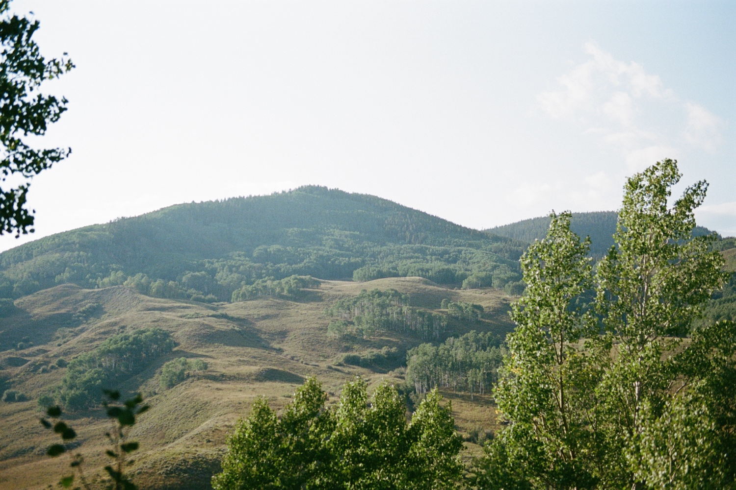 Colorado 35mm film wedding photography taken in Crested Butte by Durango and Telluride wedding photographer, Ashley Joyce. Photos from an intimate wedding in Crested Butte