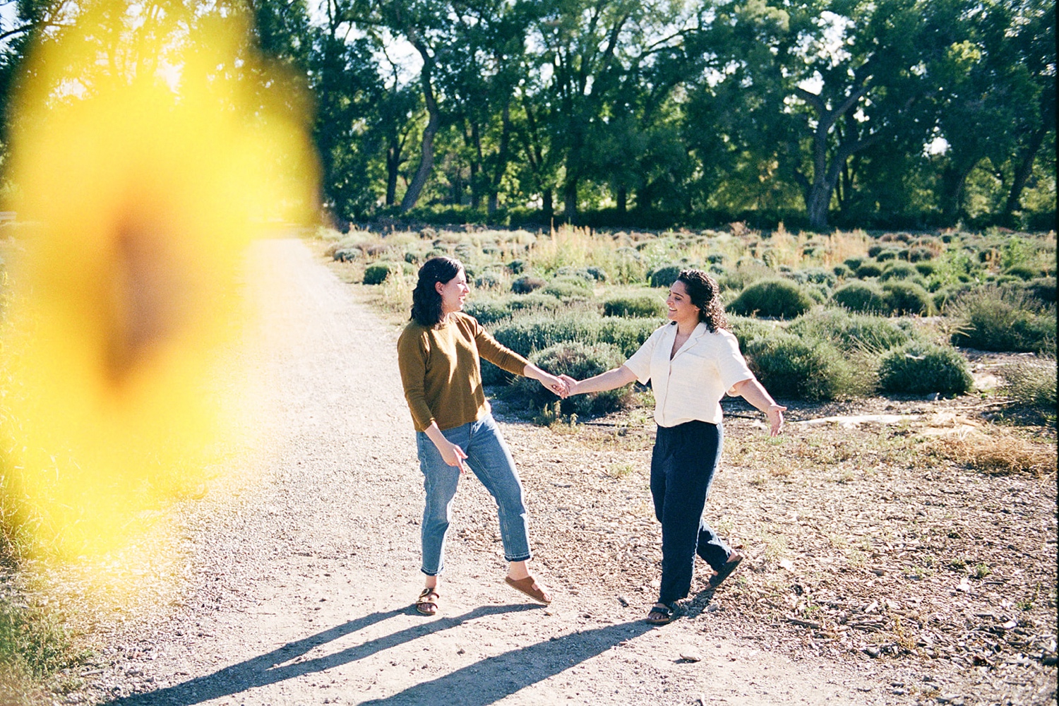 Romantic fall engagement session at Los Poblanos Historic Inn, couple embracing in front of the colorful foliage.