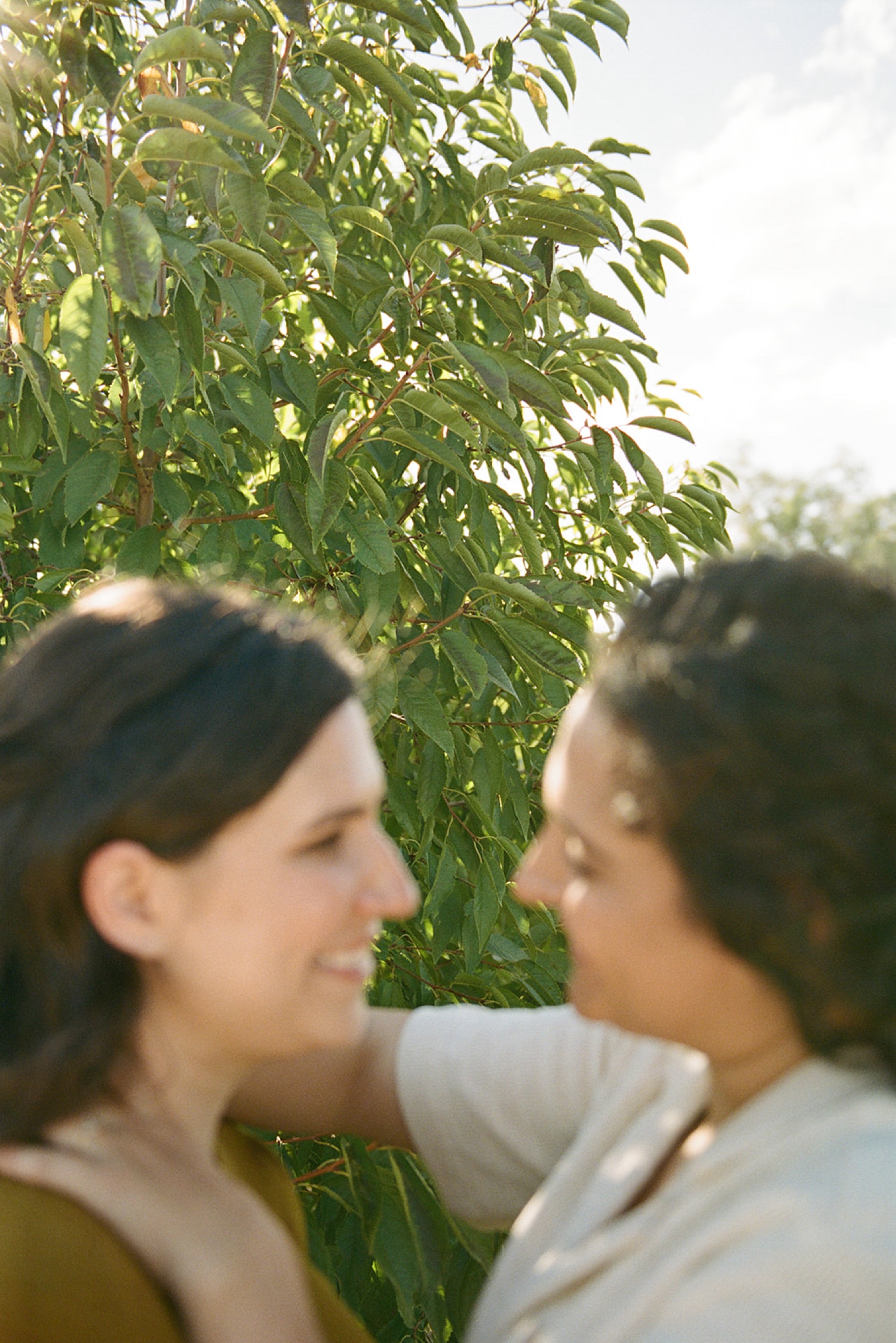 Romantic fall engagement session at Los Poblanos Historic Inn, couple embracing in front of the colorful foliage.