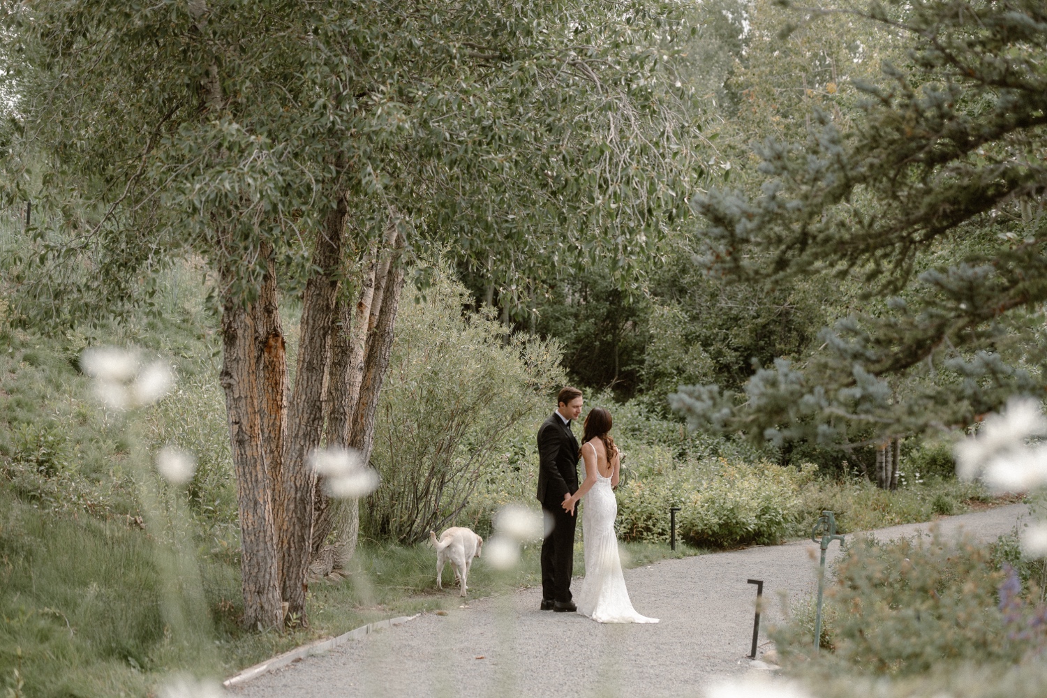 Mountain Wedding Garden wedding venue in Crested Butte, photographed by Telluride wedding photographer Ashley Joyce Photography.