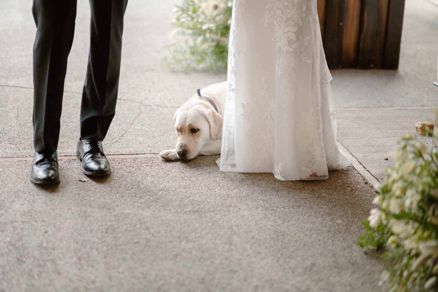 Mountain Wedding Garden wedding venue in Crested Butte, photographed by Telluride wedding photographer Ashley Joyce Photography.